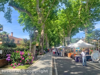 Festa delle ortensie