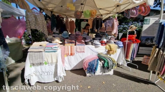 Bolsena - Festa delle ortensie
