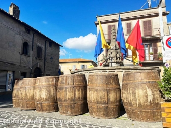 Festa dell'uva