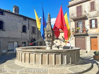 Festa dell'uva