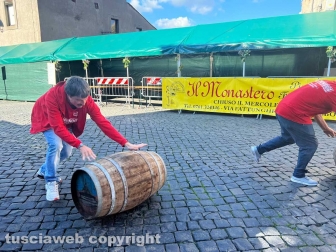 Festa dell'uva