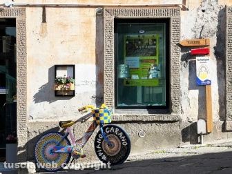 Festa dell'uva