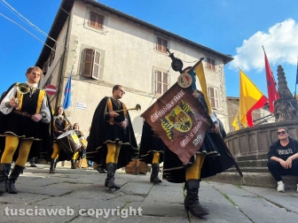 Festa dell'uva