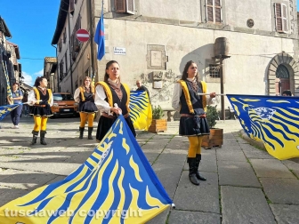 Festa dell'uva