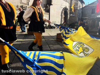 Festa dell'uva