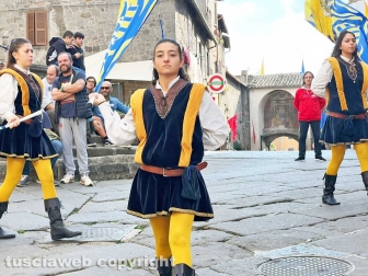 Festa dell'uva