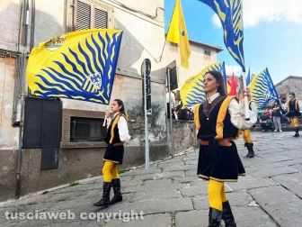 Festa dell'uva