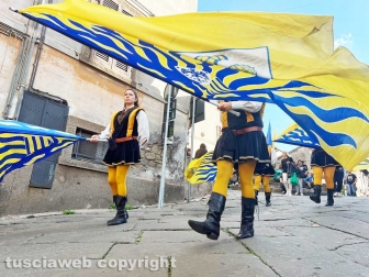 Festa dell'uva