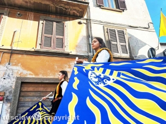 Festa dell'uva