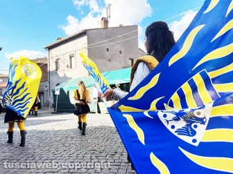 Festa dell'uva
