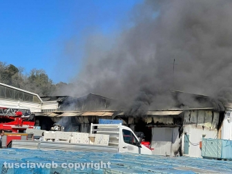 WhatsApp-Image-2022-04-11-at-11.46.27-1