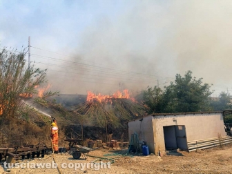 Montalto di Castro - Fiamme lungo la ferrovia