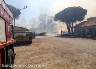 Montalto di Castro - Fiamme lungo la ferrovia