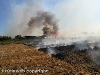 Montalto di Castro - Fiamme lungo la ferrovia