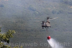 Fiamme sul lago di Vico