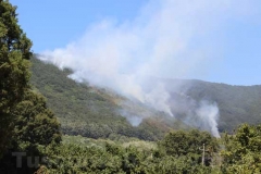 Fiamme sul lago di Vico