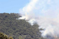 Fiamme sul lago di Vico