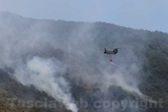 Fiamme sul lago di Vico