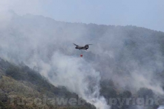 Fiamme sul lago di Vico