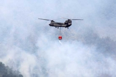 Fiamme sul lago di Vico