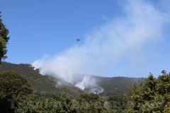 Fiamme sul lago di Vico