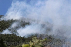 Fiamme sul lago di Vico