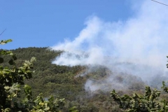 Fiamme sul lago di Vico