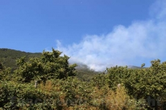 Fiamme sul lago di Vico