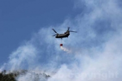 Fiamme sul lago di Vico