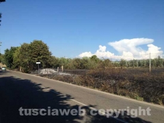 Viterbo - Fiamme sulla Cassia