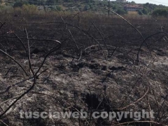 img_1890Viterbo - Fiamme sulla Cassia