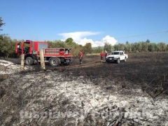 Viterbo - Fiamme sulla Cassia