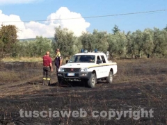 Viterbo - Fiamme sulla Cassia