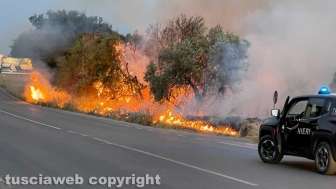 Tangenziale Ovest - Incendio a bordo strada - Intervento dei carabinieri