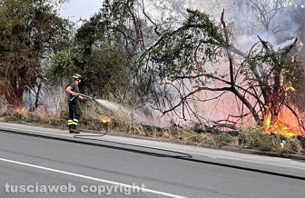 Tangenziale Ovest - Incendio a bordo strada - Intervento dei vigili del fuoco