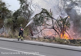 Tangenziale Ovest - Incendio a bordo strada - Intervento dei vigili del fuoco