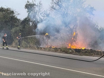 Tangenziale Ovest - Incendio a bordo strada - Intervento dei vigili del fuoco