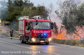 Tangenziale Ovest - Incendio a bordo strada - Intervento dei vigili del fuoco