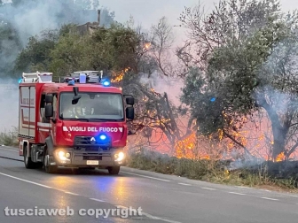 Tangenziale Ovest - Incendio a bordo strada - Intervento dei vigili del fuoco