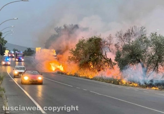 Tangenziale Ovest - Incendio a bordo strada