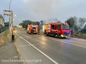 Tangenziale Ovest - Incendio a bordo strada - Intervento dei vigili del fuoco