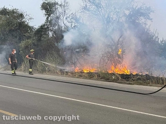 cfdea75b-df85-4d44-9bd6-b1e954f28eab