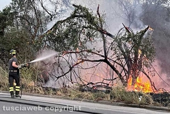 Tangenziale Ovest - Incendio a bordo strada - Intervento dei vigili del fuoco