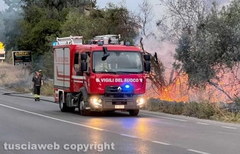 Tangenziale Ovest - Incendio a bordo strada - Intervento dei vigili del fuoco
