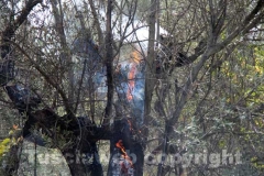 L\'incendio tra strada Bagni e la Superstrada