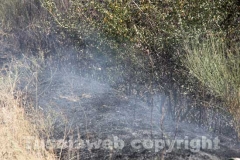 L\'incendio tra strada Bagni e la Superstrada