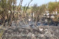 L\'incendio tra strada Bagni e la Superstrada