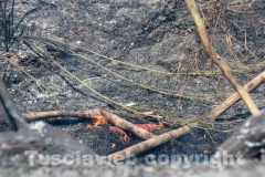 L\'incendio tra strada Bagni e la Superstrada