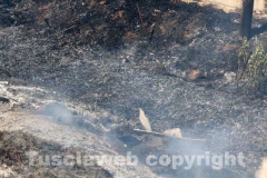 L\'incendio tra strada Bagni e la Superstrada