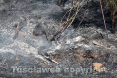 L\'incendio tra strada Bagni e la Superstrada